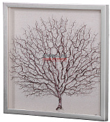 Кораллы 3