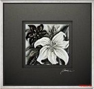 Lilia 4856