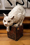 Белая кошка