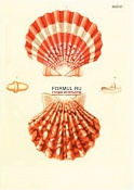 SHL 043