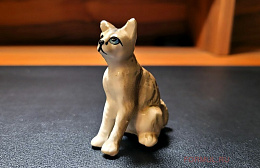 Кот