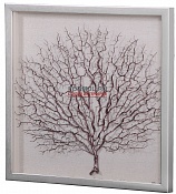 Кораллы 3